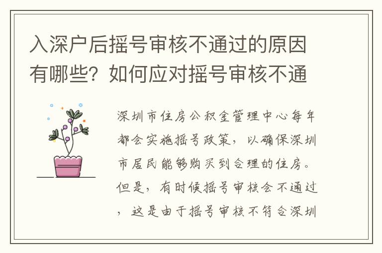 入深戶后搖號審核不通過的原因有哪些？如何應(yīng)對搖號審核不通過？