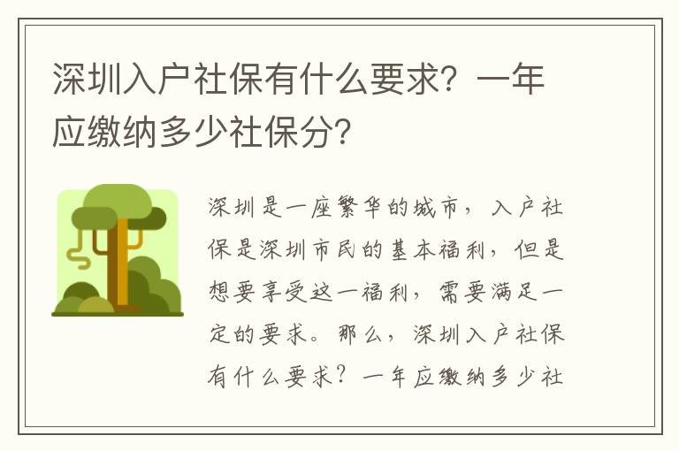 深圳入戶社保有什么要求？一年應繳納多少社保分？