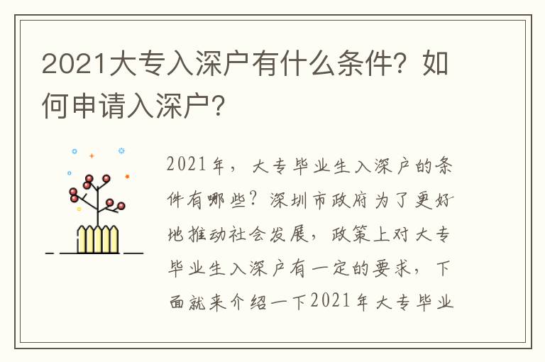 2021大專入深戶有什么條件？如何申請入深戶？