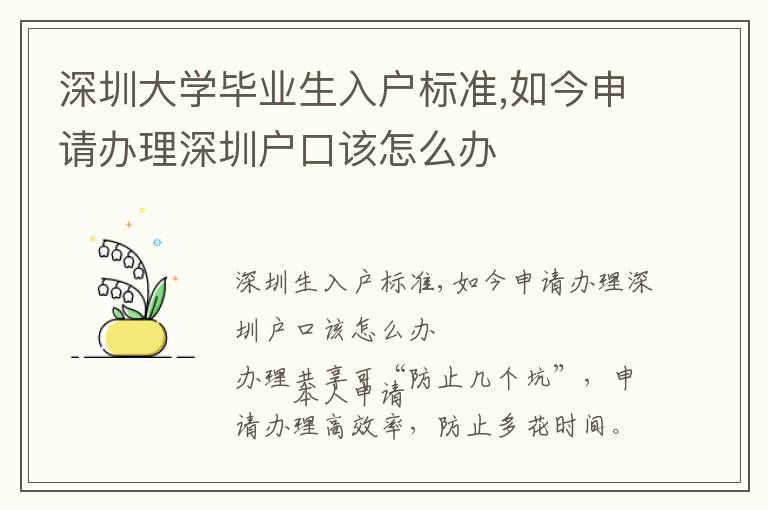 深圳大學畢業(yè)生入戶標準,如今申請辦理深圳戶口該怎么辦