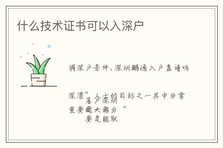 什么技術(shù)證書可以入深戶
