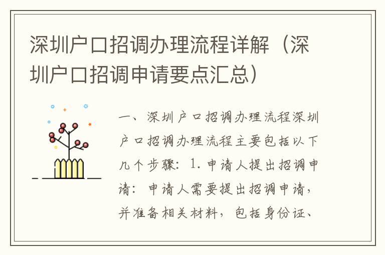 深圳戶口招調(diào)辦理流程詳解（深圳戶口招調(diào)申請要點匯總）