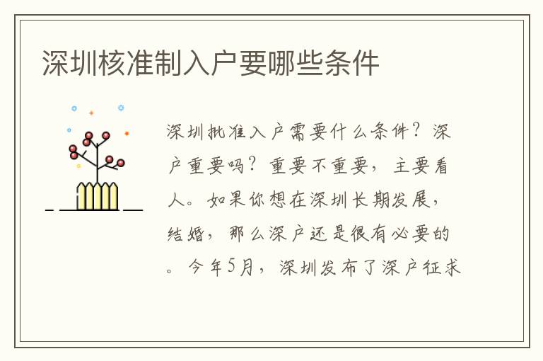 深圳核準(zhǔn)制入戶要哪些條件