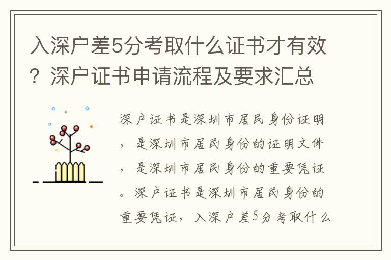 入深戶差5分考取什么證書才有效？深戶證書申請流程及要求匯總