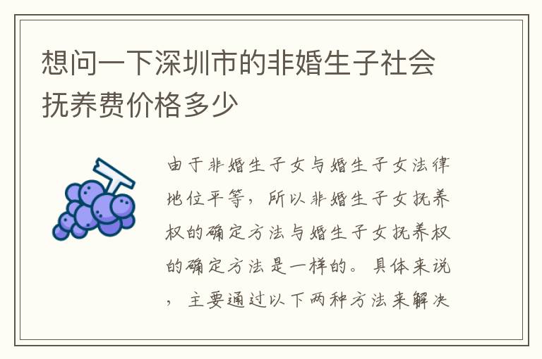 想問一下深圳市的非婚生子社會撫養(yǎng)費(fèi)價格多少