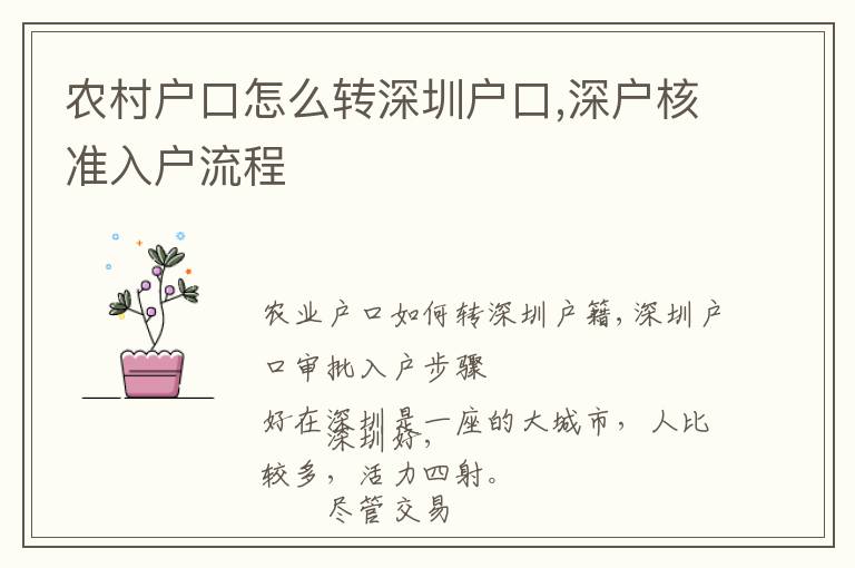 農(nóng)村戶口怎么轉(zhuǎn)深圳戶口,深戶核準(zhǔn)入戶流程