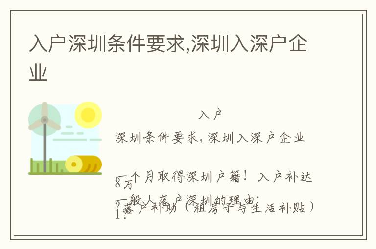 入戶深圳條件要求,深圳入深戶企業(yè)