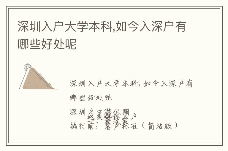 深圳入戶大學(xué)本科,如今入深戶有哪些好處呢