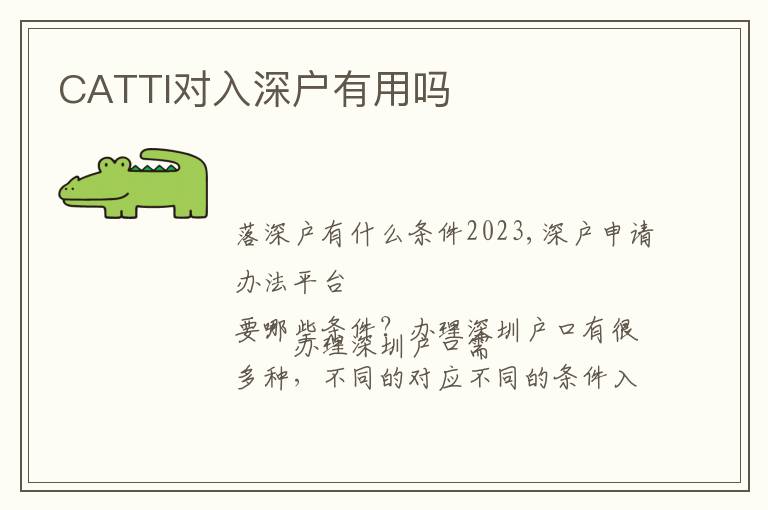 CATTI對入深戶有用嗎