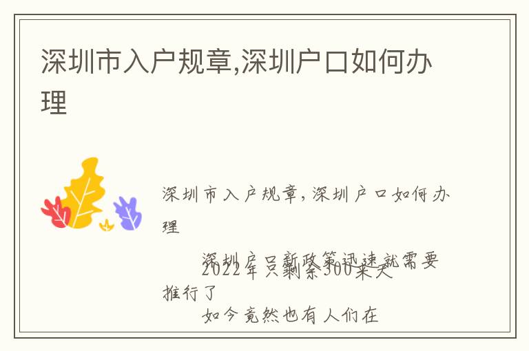 深圳市入戶規(guī)章,深圳戶口如何辦理