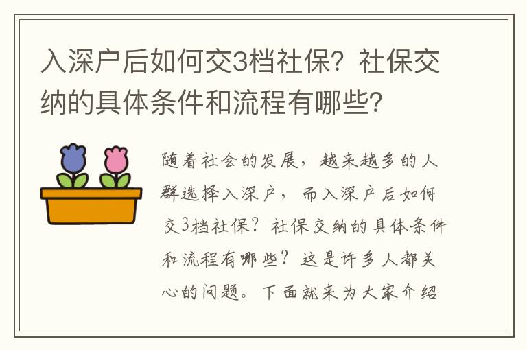 入深戶后如何交3檔社保？社保交納的具體條件和流程有哪些？
