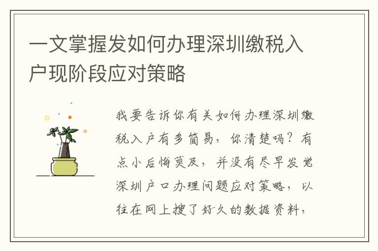 一文掌握發(fā)如何辦理深圳繳稅入戶現(xiàn)階段應(yīng)對策略