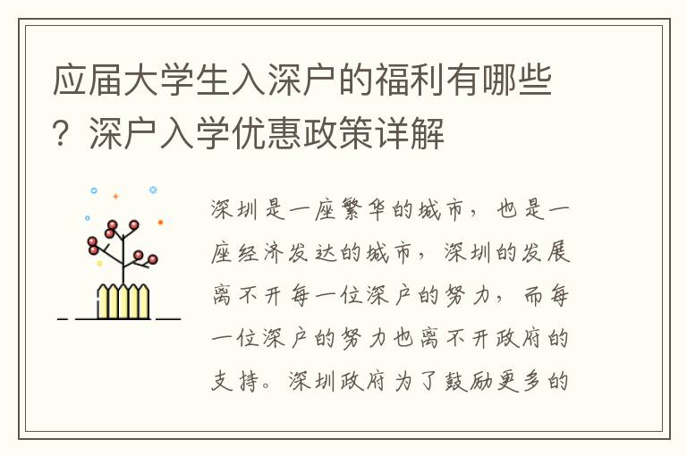 應屆大學生入深戶的福利有哪些？深戶入學優惠政策詳解