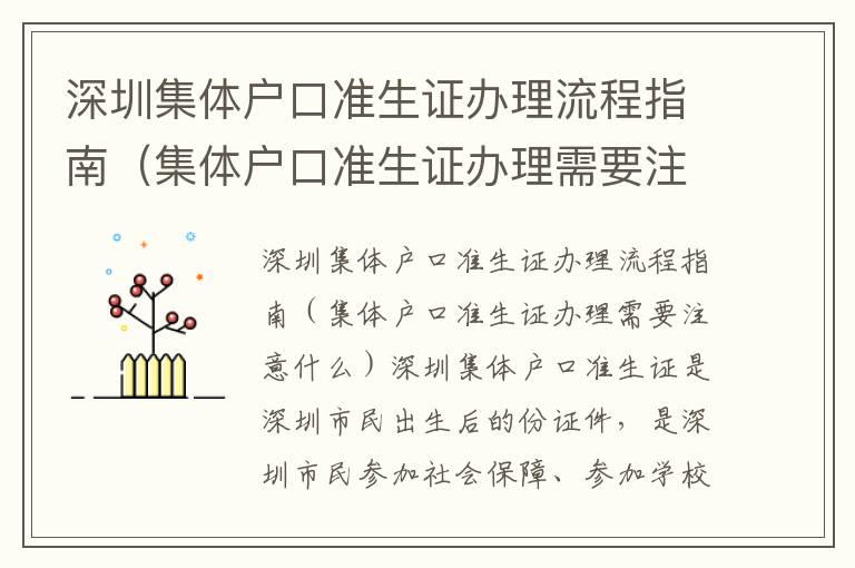深圳集體戶口準(zhǔn)生證辦理流程指南（集體戶口準(zhǔn)生證辦理需要注意什么）