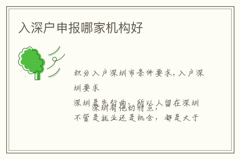 入深戶申報(bào)哪家機(jī)構(gòu)好