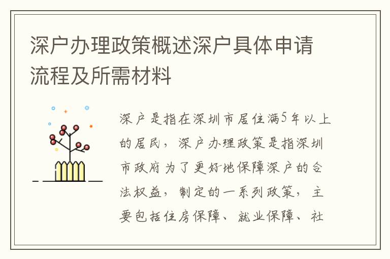 深戶辦理政策概述深戶具體申請(qǐng)流程及所需材料