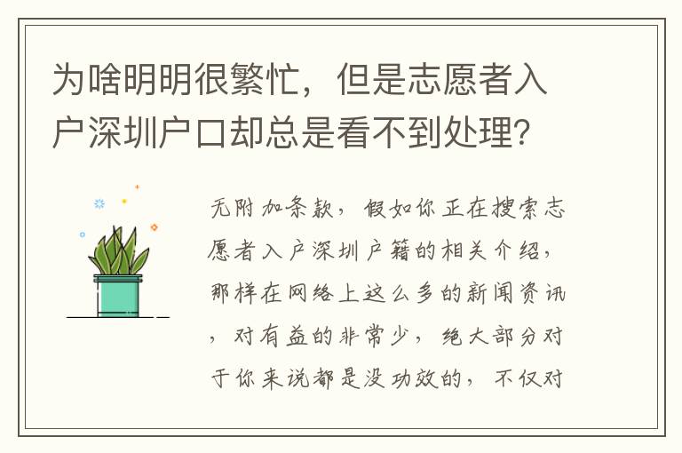 為啥明明很繁忙，但是志愿者入戶深圳戶口卻總是看不到處理？
