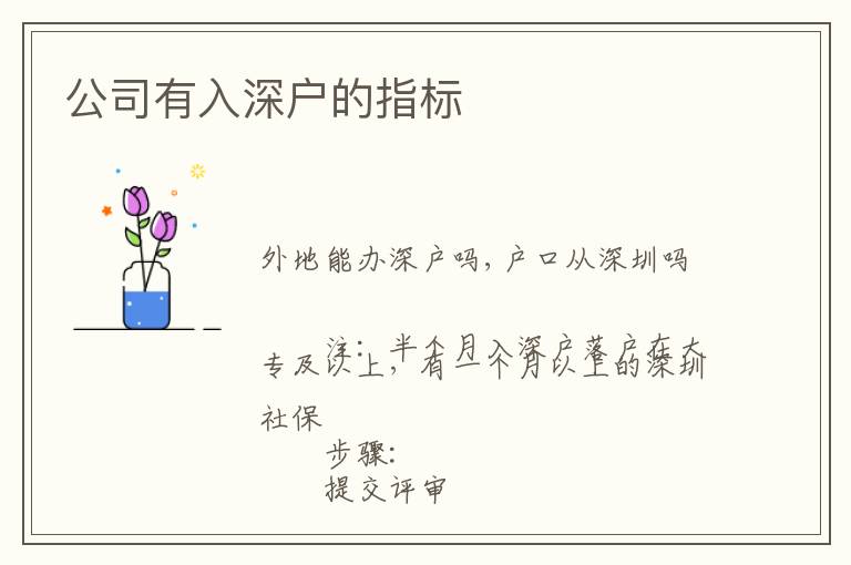 公司有入深戶的指標(biāo)