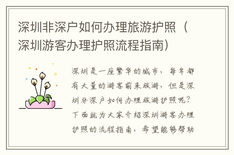 深圳非深戶如何辦理旅游護(hù)照（深圳游客辦理護(hù)照流程指南）