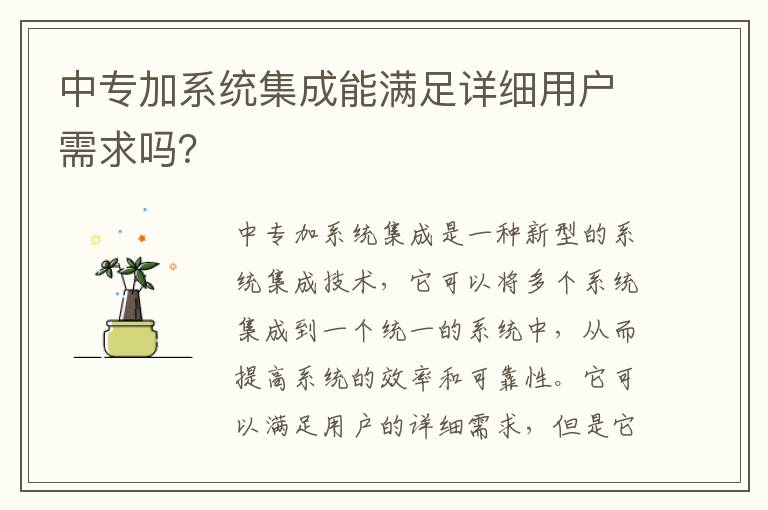 中專加系統集成能滿足詳細用戶需求嗎？
