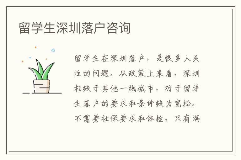 留學(xué)生深圳落戶咨詢