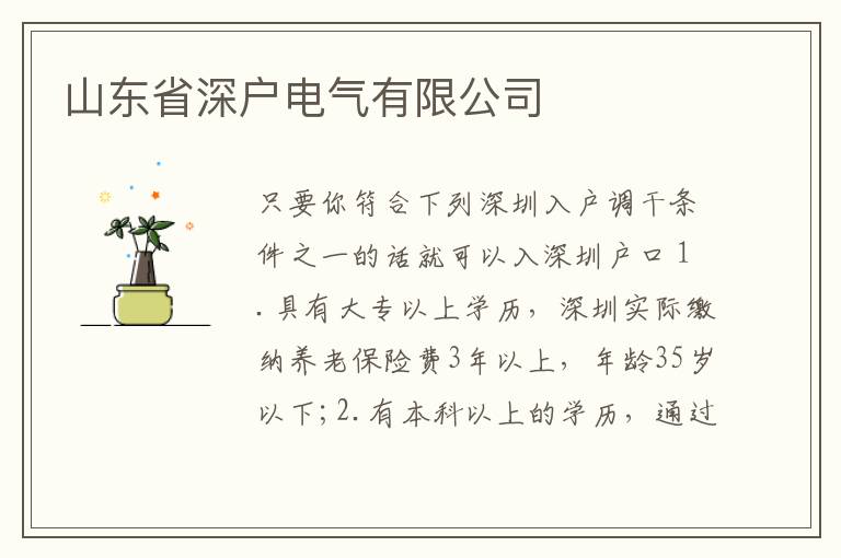 山東省深戶電氣有限公司