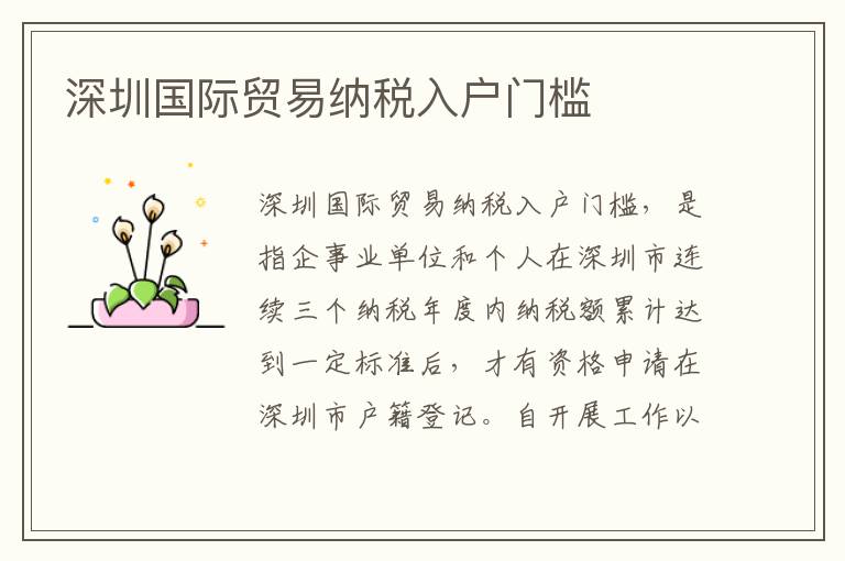 深圳國(guó)際貿(mào)易納稅入戶門檻